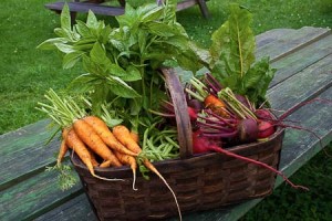 What are you harvesting?