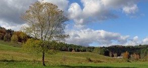 Triangle Field, Cobb Hill
