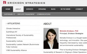 Michelle Erickson Launches Consultancy Erickson Strategies Website