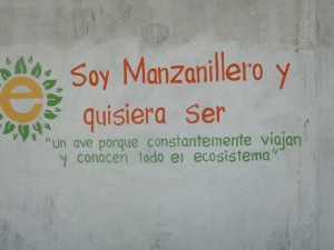Manzanillo biomimmicry project, 1