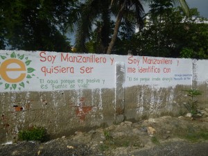 Manzanillo biomimmicry project, 2