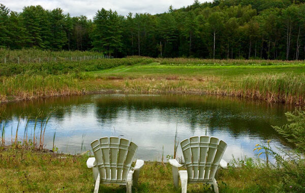 two white chairs by a small pond in a field