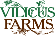 logo for Vilicus Farms