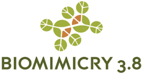 Biomimicry3.8 logo