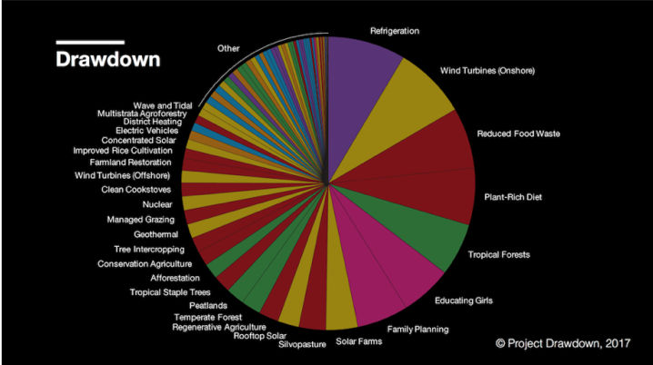 colorful pie chart