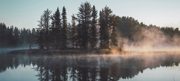 evergreen trees on a small island on a foggy lake